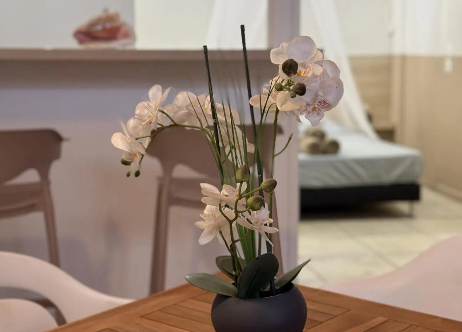 Apartment Studio 104 - Centre Ville Et Plage De Sainte-Anne